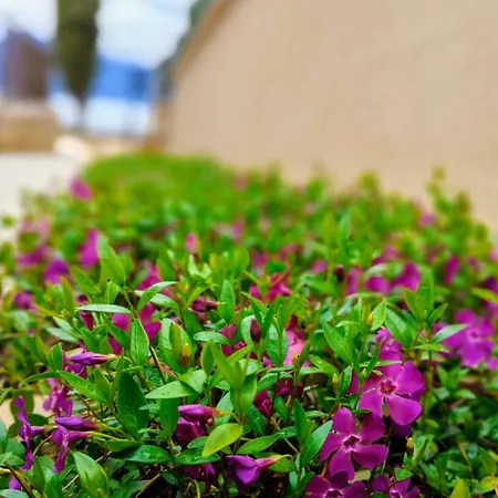 Διαμέρισμα Benaco *